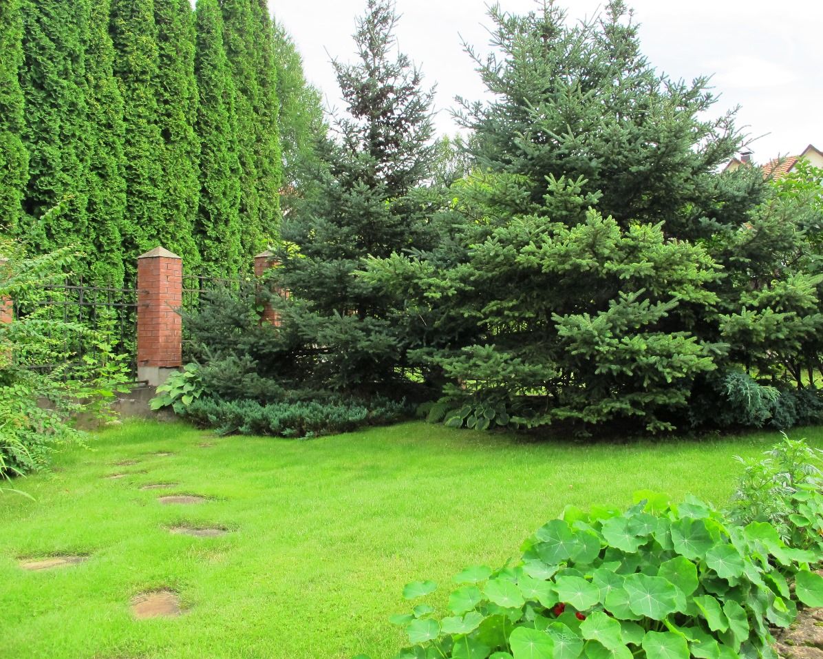 Ливадия на Истре